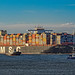 Containerschip MSC Oscar - Maasmond - Port of Rotterdam