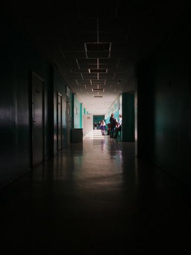 school ©  Nikolay Petrov