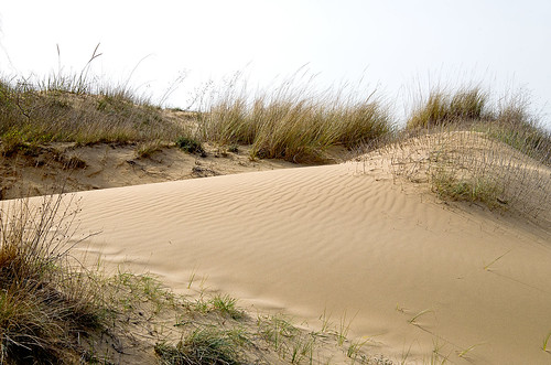 Primorsko, dunes /  ©  Katya