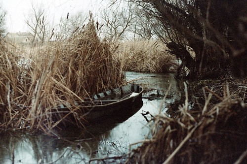 Danube reed beds ©  Mykyta Nikiforov