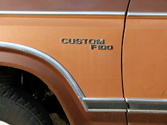 Custom F100