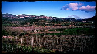 Rubió de Sòls - Wine Cellar - Lleida