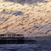 Blurmuration and West Pier
