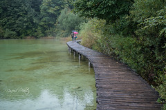 Plitvice Lakes National Park, Croatia in Jezerce, Ličko-senjska županija with Panasonic DMC-GX7