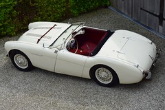 Austin-Healey 100M (1956).