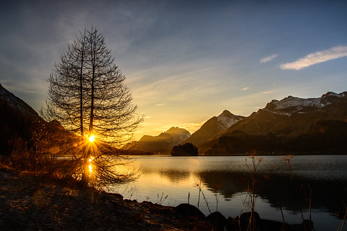 Sunset behind a Larch ©  kuhnmi