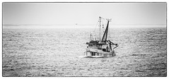 Lone Fishing Trawler