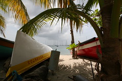 Antilles 2012 100