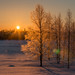 Lapland Sunrise (Explored)