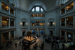 Scouting Pic at Museum of Natural History