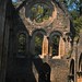 156-36 - Ruïnes van de abdij van Orval