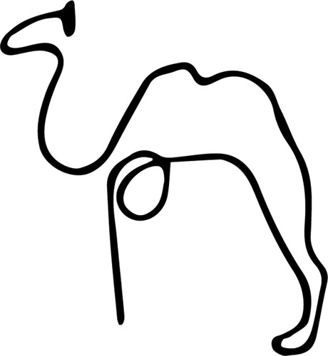 picasso camel