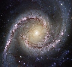 A Truly Grand Seyfert Galaxy, NGC 1566