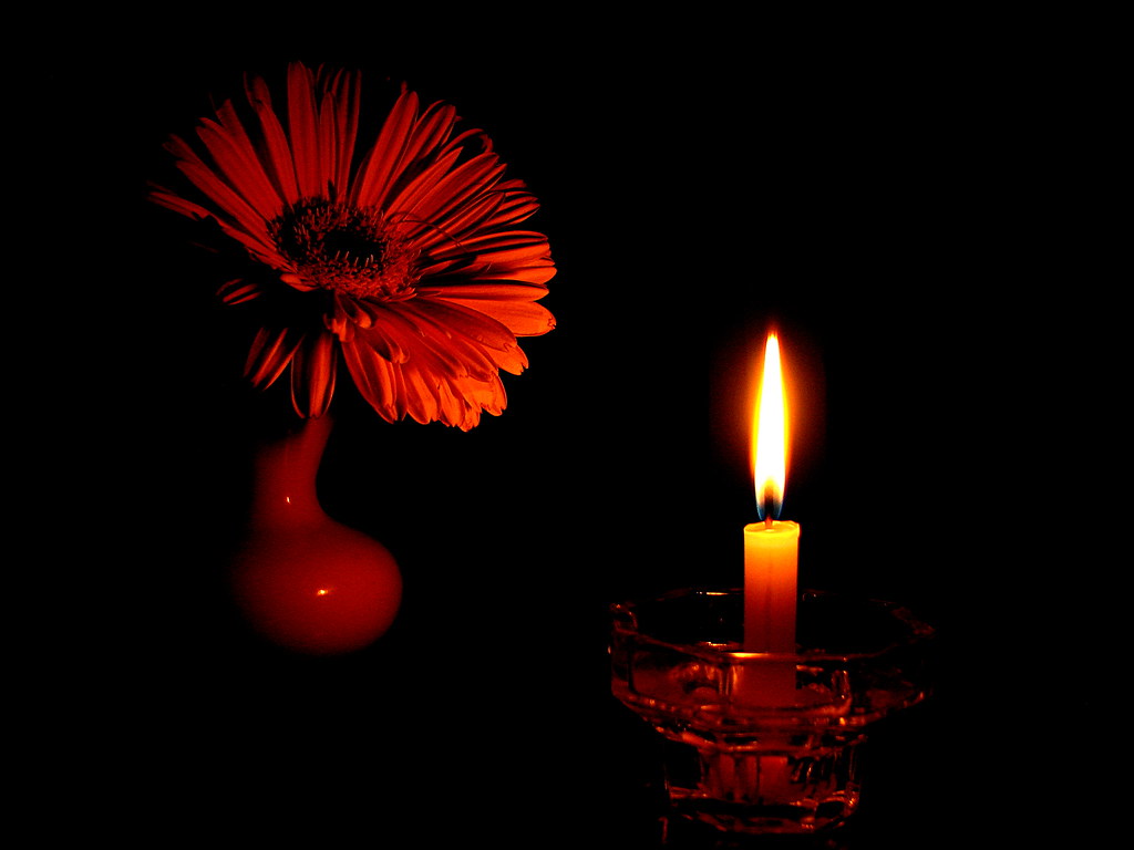 : Flower_in_candlelight