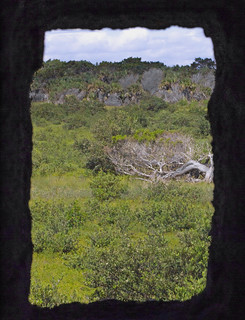 Rattlesnake Island (through turret in Fort Matanzas)