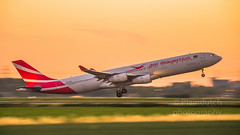 Air Mauritius A340 departing Schiphol • <a style="font-size:0.8em;" href="http://www.flickr.com/photos/125767964@N08/43224153902/" target="_blank">View on Flickr</a>