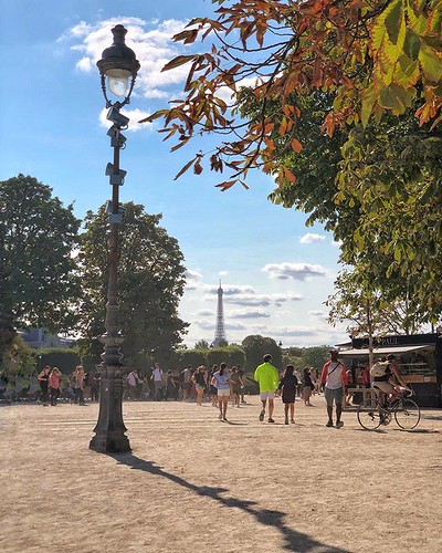 End of Paris Summer ©  Michael Grech