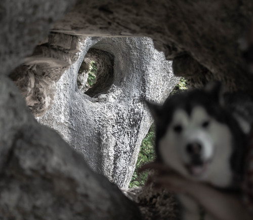 Cave dog ©  Raymond Zoller