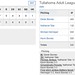 Adult Baseball Box Score 8.14 (1.4)