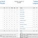 Adult Baseball Box Score 8.9 (1.1)