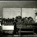 Wyong Creek Public School -  [Students with vegetables for returned soldiers]