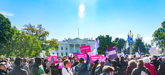 2018.10.22 We Won't Be Erased - Rally for Trans Rights, Washington, DC USA 06823