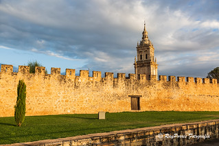 Catedral de la Asunción de El Burgo de Osma ciudad de Osma, Soria, Castilla y Leon. España.