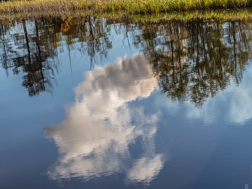 Reflections in the water ©  Raymond Zoller