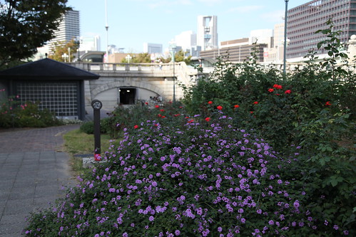 都会のバラ園 Nakanoshima Rose Garden