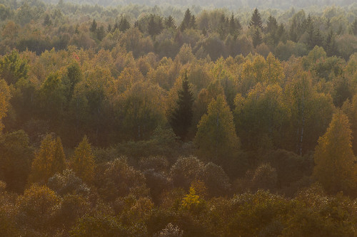 Autumn ©  Vladimir Fedotov