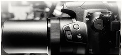 Mit Zoom-Wippe und Zoom Frame Assist  am Objektiv. Canon PowerShot SX70.