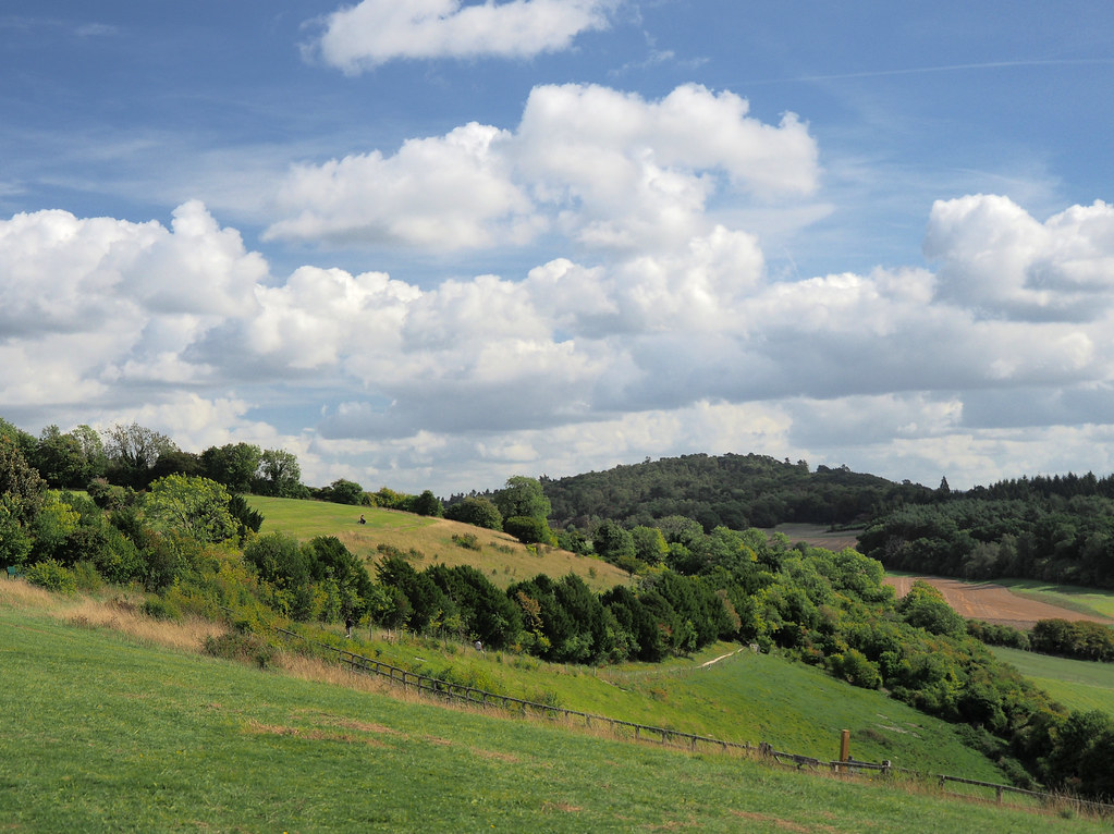 : Pewley Downs, Guildford