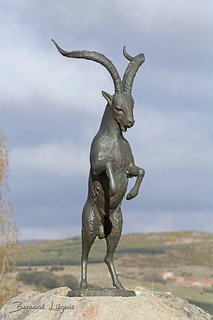 Statue : Capra pyrenaica Bouquetin ibérique ou d'Espagne Iberian Wild Goat or Spanish Ibex