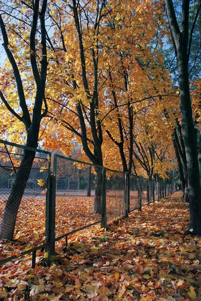 :    / Autumn behind the fence