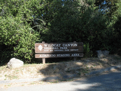 alvarado staging area, wildcat canyon, richmond hills