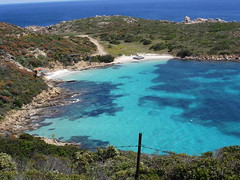 Cala Sabina, Isola Asinara