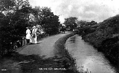 Greenock Cut 1890