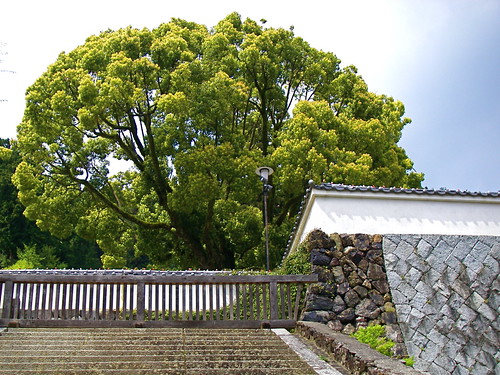 Katsuoji