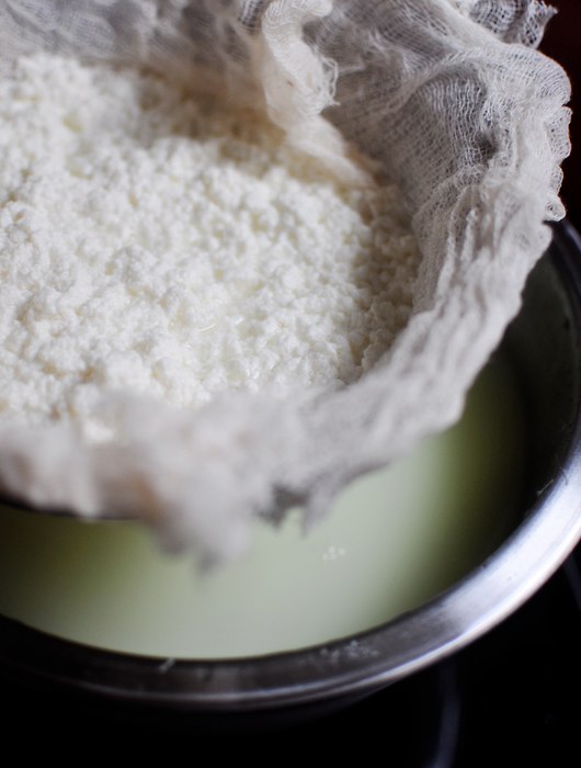 Dolcetto Confections: Homemade Ricotta