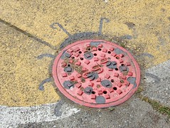 Lady bug masquerading as a manhole cover (by bochalla)