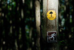 trail markers