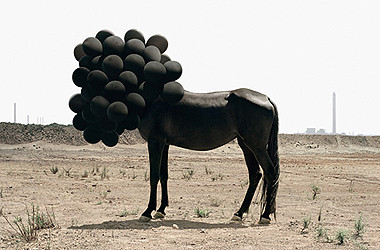 black horse380-1