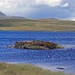 Blue - Scotland