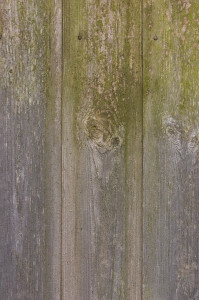 Green to Grey Panels Wooden Grunge Background