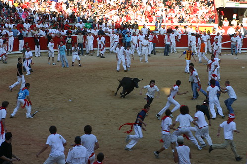 Running with the Bulls
