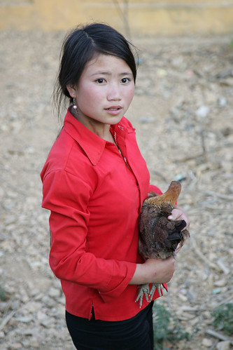 Hmong girl hold native black chicken of Viet Nam