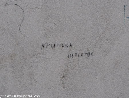 krynitsa_forever
