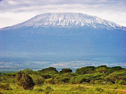 Mt Kilimanjaro 1
