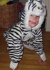 James the Tiger