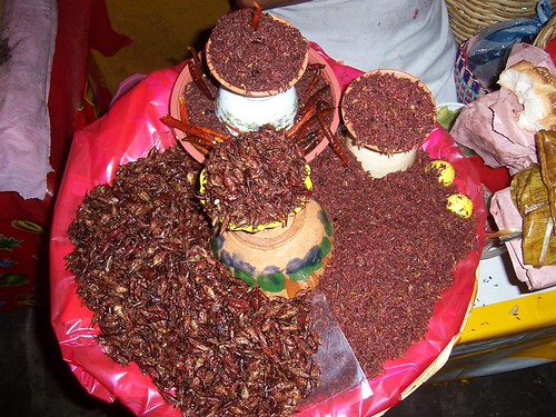 Oaxaca1